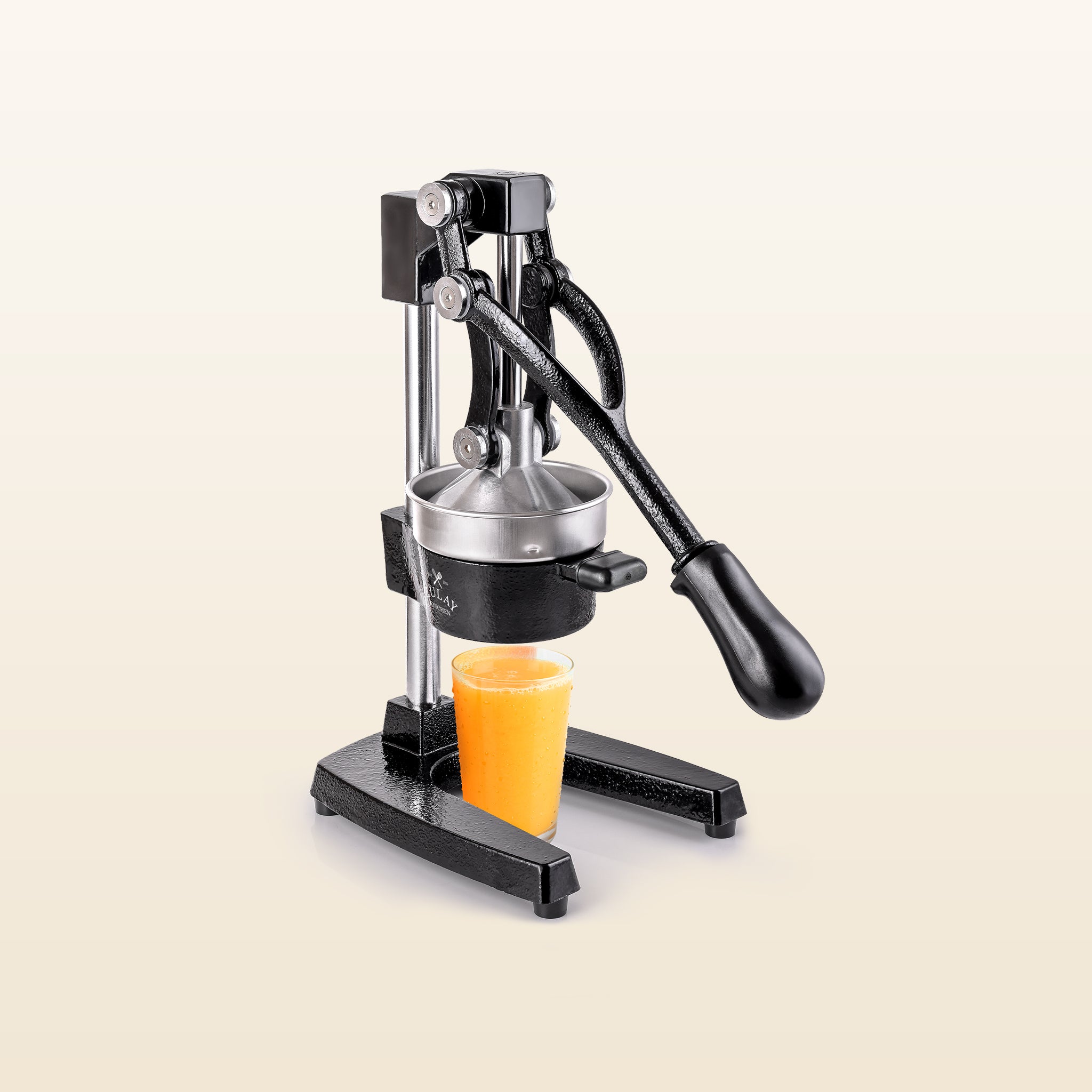 Heavy-Duty Manual Juice Press - Black by Zulay Kitchen