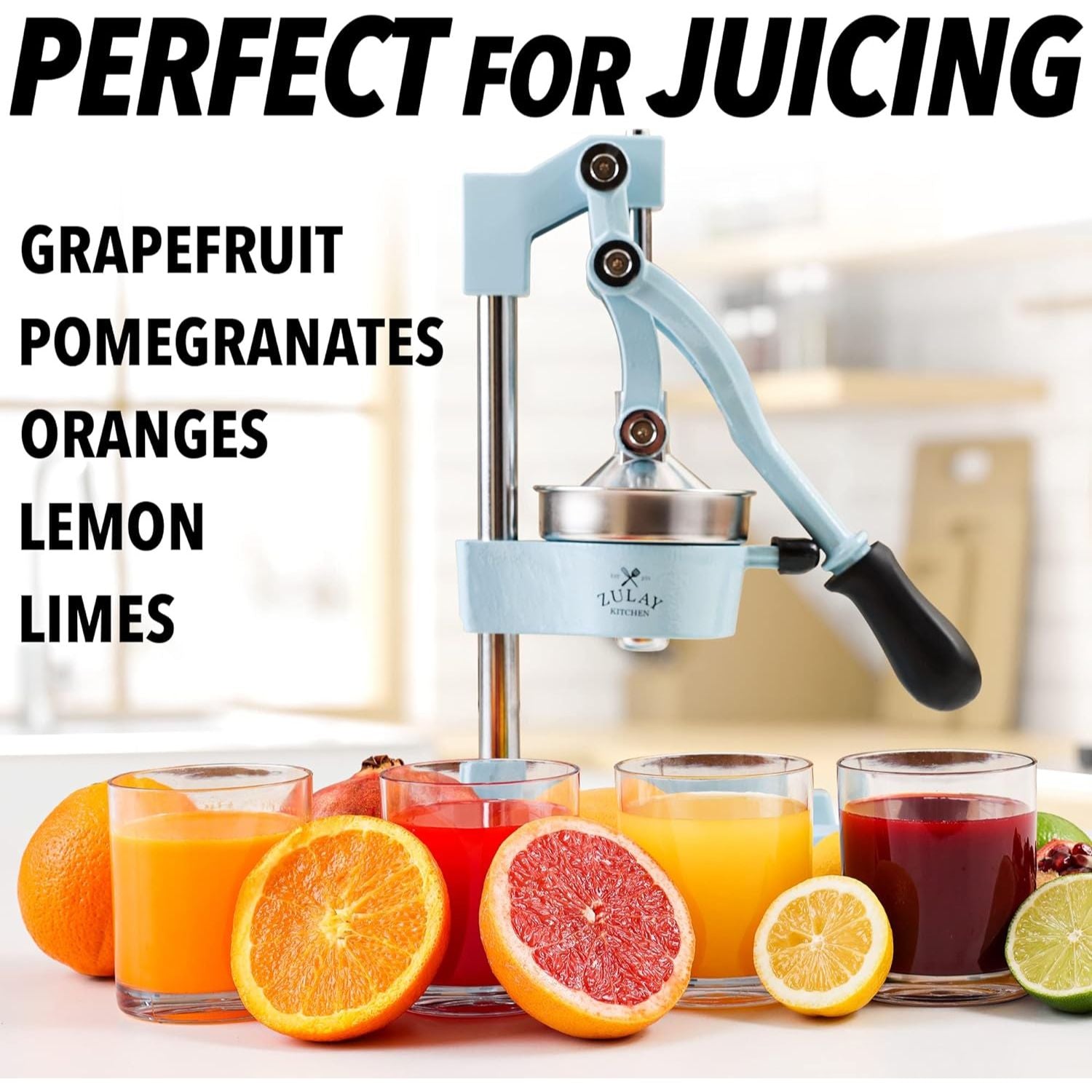 Manual Fruit Juicer,Commercial Grade Home Citrus Lever Squeezer for Oranges, Lemons, Limes, Grapefruits and More,Stainless Steel and Cast Iron