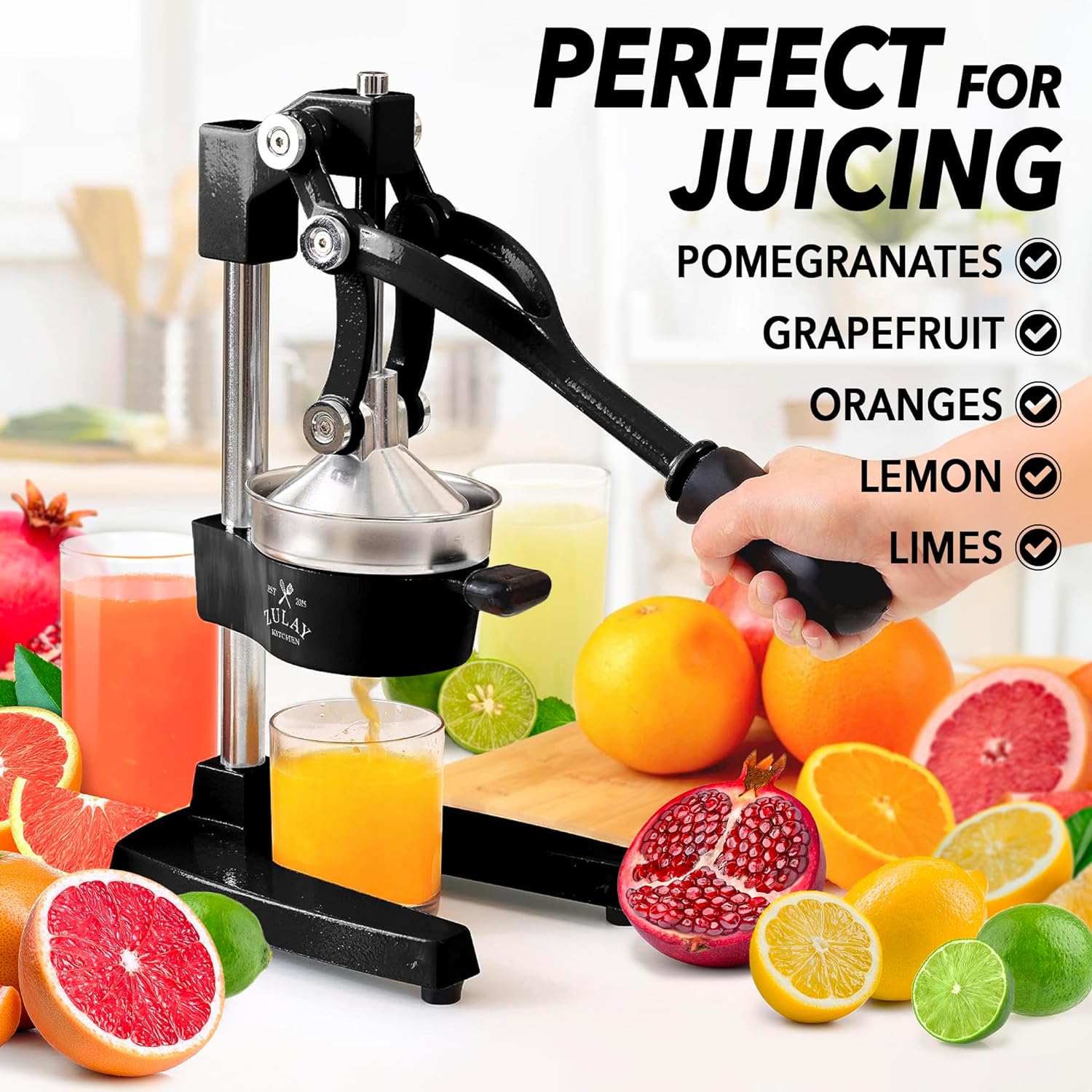 Professional® Cancan® XL Manual Juice Press –