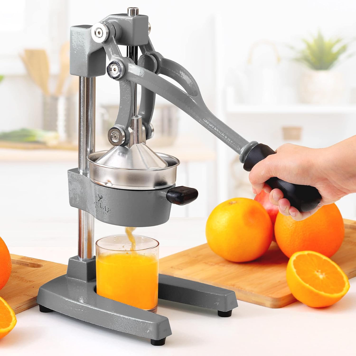 Manual Juice Extractor Maker Orange Presser Handheld Fruits Baby Mini  Squeezer